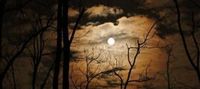 Curse of the Nightfall