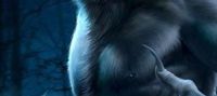 The Twin Alphas Warrior Luna by RYN